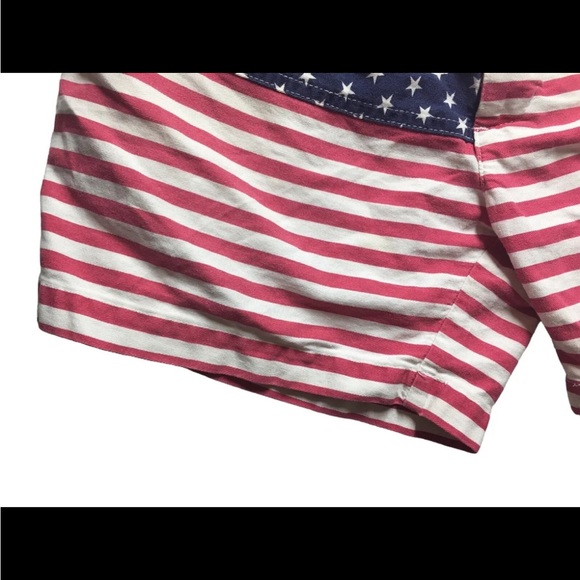 Chubbies Men’s L Shorts The ‘Mericas - Picture 2 of 6